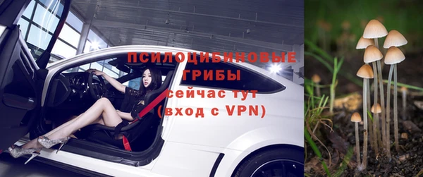 кристаллы Инта