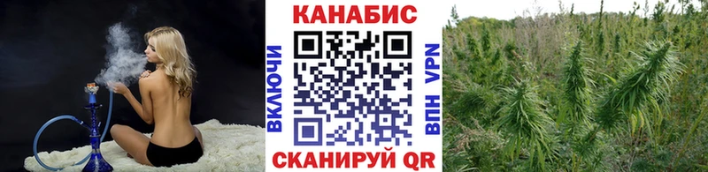 Бошки марихуана индика  Купить закладки  Дербент 